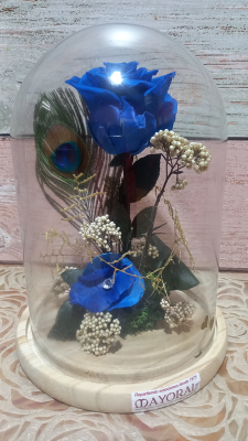 Cúpula con rosa preservada azul-
