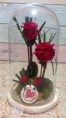 Cúpula con rosas preservadas.