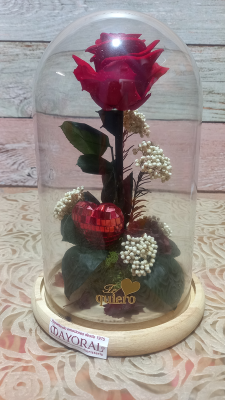 Cúpula con rosa preservada roja.