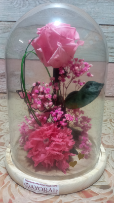 Cúpula con rosa preservada.