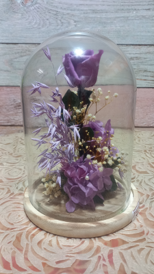 Cúpula con rosa preservada morada.