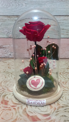 Cúpula con rosa preservada. 