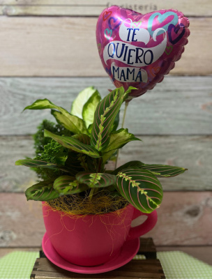 Composición plantas con globo