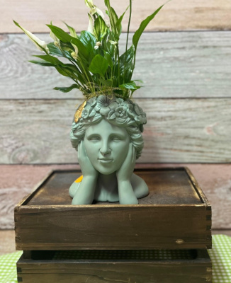 Composición de plantas  sobre cabeza de cerámica