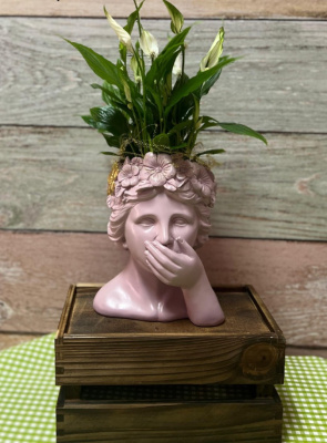 Composición de plantas  sobre cabeza de cerámica