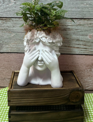 Composición de plantas  sobre cabeza de cerámica