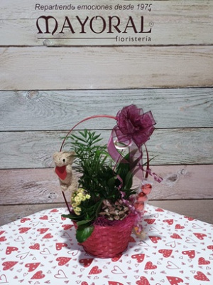 Cesta de plantas con amor. 