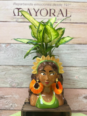 Composición plantas sobre cabeza cerámica.