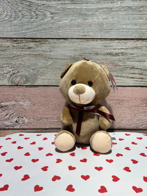 Peluche osito pequeño