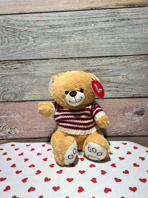 Peluche osito con abrigo.