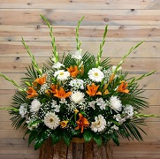 ESPECIAL DÍA DE TODOS LOS SANTOS