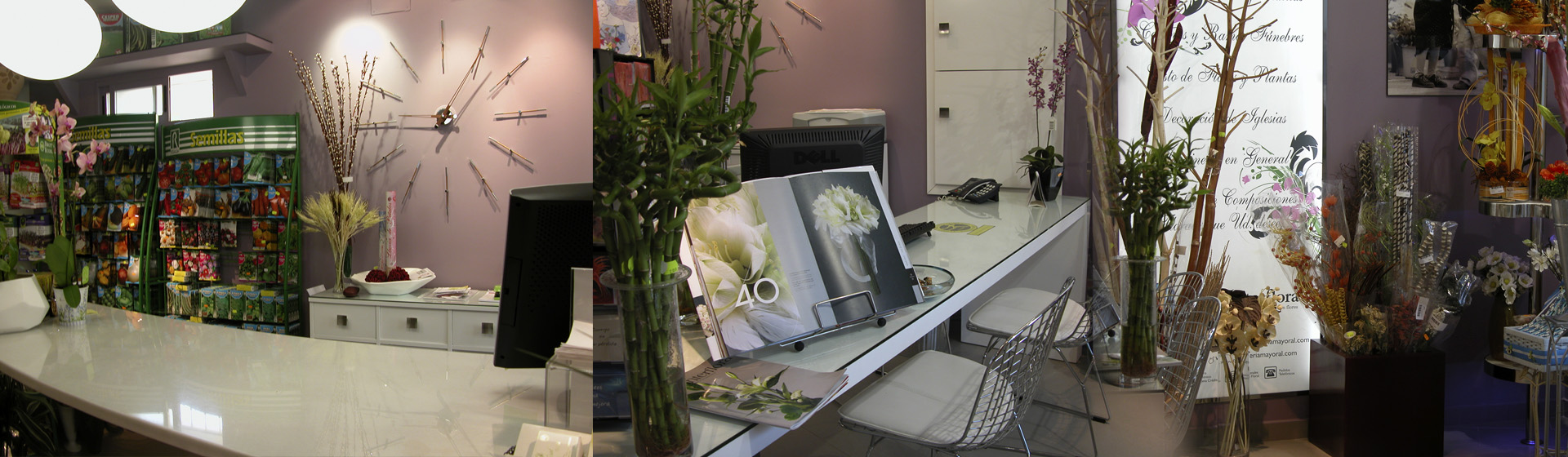 Floristería Mayoral. Con más de 45 años de experiencia, seguimos creciendo junto a ti, formando parte de los momentos más importantes de tu vida.